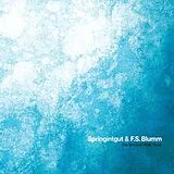 Springintgut & F.S.Blumm LP (Vinyl) The Bird and White Noise