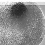 Ursula Bogner Vinyl Sonne=blackbox