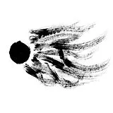 Agf/Various CD Dissidentova