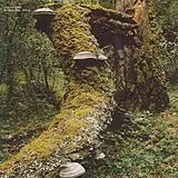 Jan Jelinek LP (analog) Kosmischer Pitch (reissue)