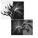 Andrew Pekler Vinyl New Environments & Rhythm Studies