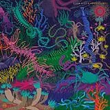 Slow Steve Vinyl Adventures (Vinyl)