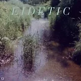 Benoit Pioulard Vinyl Eidetic