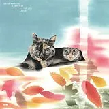 Eddie Marcon Vinyl Carpet Of Fallen Leaves
