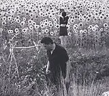 Jesu, sun Kil Moon LP (analog) Jesu/sun Kil Moon