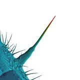 Peter Gabriel CD And I'll Scratch Yours