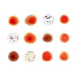 Peter Gabriel CD And I'll Scratch Yours (del. Edt.)