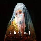 Thief Vinyl Bleed,Memory