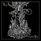 Elephant Tree Vinyl Theia