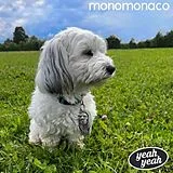 Monomonaco Vinyl Yeah Yeah