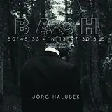 Jörg Halubek CD Bach: Organ Landscapes VIII (steinberg,Geising)