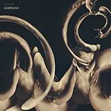 Siamese Vinyl Dissolution (gold Vinyl)
