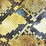 The Amazing Snakeheads Vinyl Amphetamine Ballads (Lp+Mp3) (Vinyl)