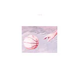 Porches Vinyl Pool (Lp+Mp3) (Vinyl)