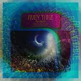 Avey Tare LP+Download Eucalyptus (Ltd 2lp+Mp3) (Vinyl)