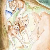 Bonnie 'prince' Billy LP (analog) Wolf Of The Cosmos
