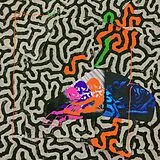 Animal Collective LP+Download Tangerine Reef (2lp+Mp3) (Vinyl)