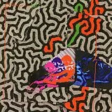 Animal Collective CD Tangerine Reef