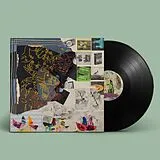 Animal Collective LP (analog) Time Skiffs