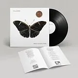 Villagers LP (analog) That Golden Time