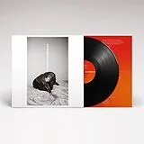 Julia Holter Vinyl Materia