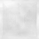 These New Puritans Vinyl Hidden [mmxx]