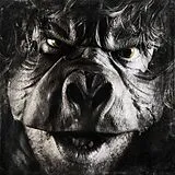 Malachai Vinyl Beyond Ugly (Lp+Mp3) (Vinyl)