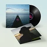 Dc Gore LP (analog) All These Things