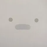 Silicon CD Personal Computer