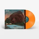 Villagers LP (analog) Fever Dreams (deluxe,Coloured)