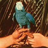 Andrew Bird CD Are You Serious (standard)