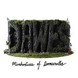 Dawes LP (analog) Misadventures Of Doomscroller (ltd. Vinyl)