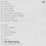 Esso,Sylvan LP (analog) No Rules Sandy (ltd. Green Vinyl)
