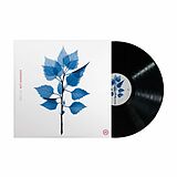 Berninger,Matt LP (analog) Get Sunk (lp)