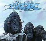 Arctic CD Arctic