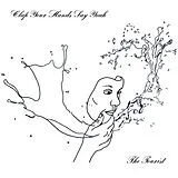 Clap Your Hands Say Yeah LP (analog) The Tourist