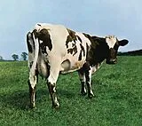 Pink Floyd CD Atom Heart Mother