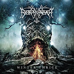 Borknagar CD Winter Thrice