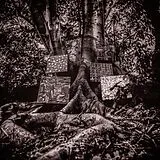 Kamasi Washington Single CD Harmony Of Difference