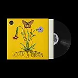 Glacier John LP (analog) Like A Ribbon