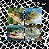 Size,Roni/reprazent Vinyl Nadie Puede Vivir Con Un