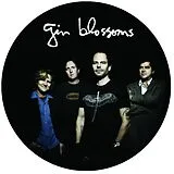 Gin Blossoms Vinyl Live In Concert