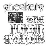 Flamin' Groovies,The Vinyl Sneakers