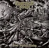 Deserted Fear CD Dead Shores Rising