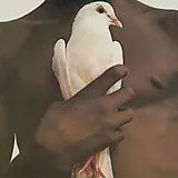 Santana LP (analog) Greatest Hits (1974)