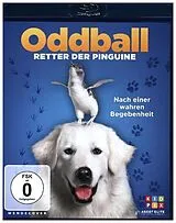Oddball - Retter der Pinguine DVD