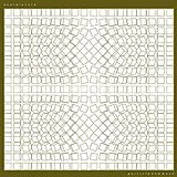 Avoid Avoid LP (Vinyl) PARTICLE & WAVE