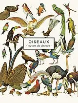 Broschiert Oiseaux : leçons de choses von 
