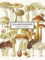 Broschiert Champignons : leçons de choses von 