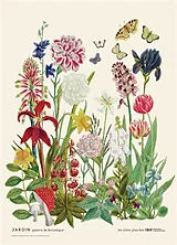 Broschiert Jardin : galerie de botanique von 